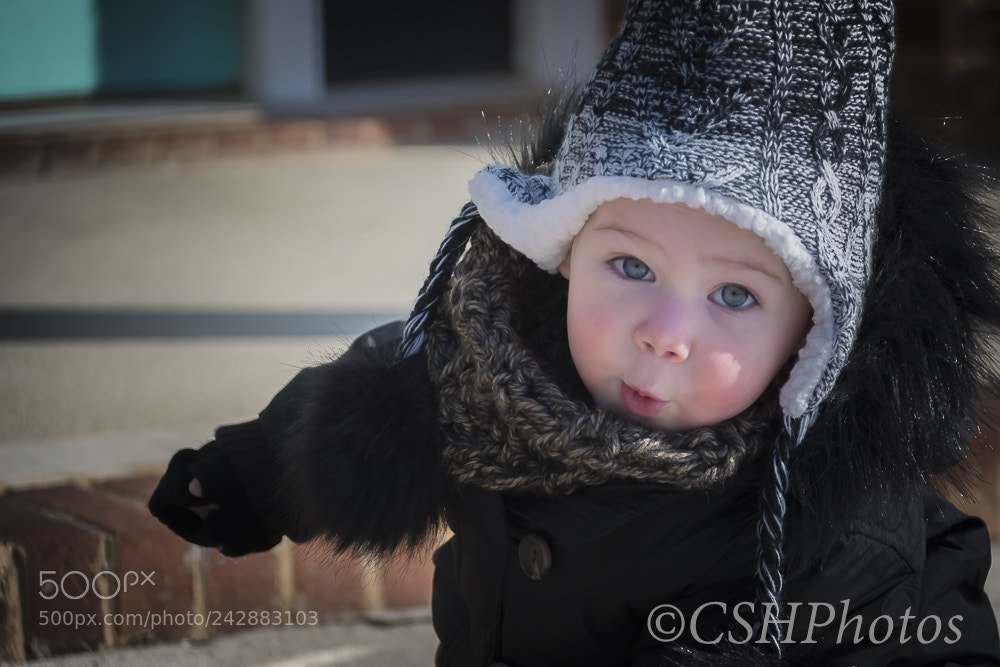 Nikon D500 sample photo. Untitled photography