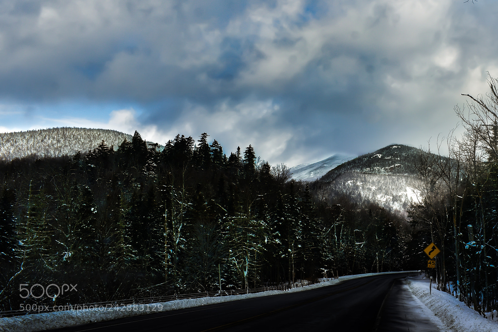 Nikon D3400 sample photo. Frosty radiance photography