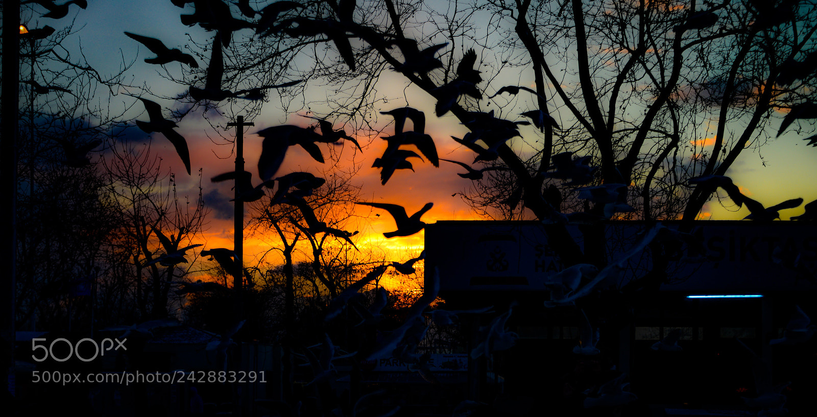 Nikon D800 sample photo. Untitled photography