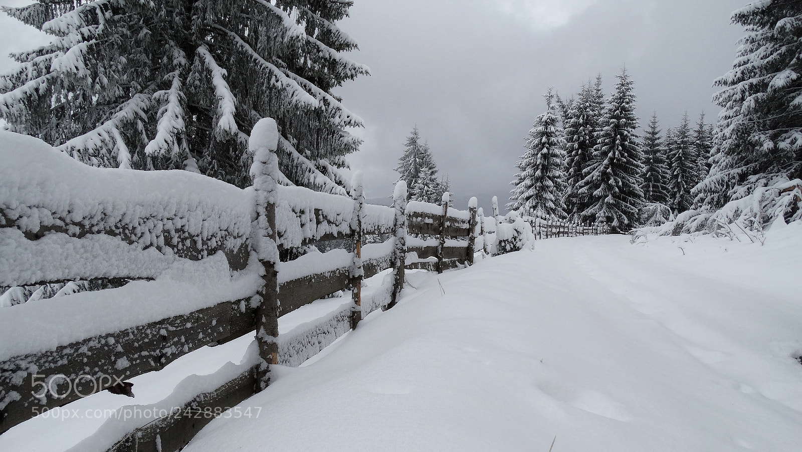 Sony Cyber-shot DSC-HX300 sample photo. Winter photography