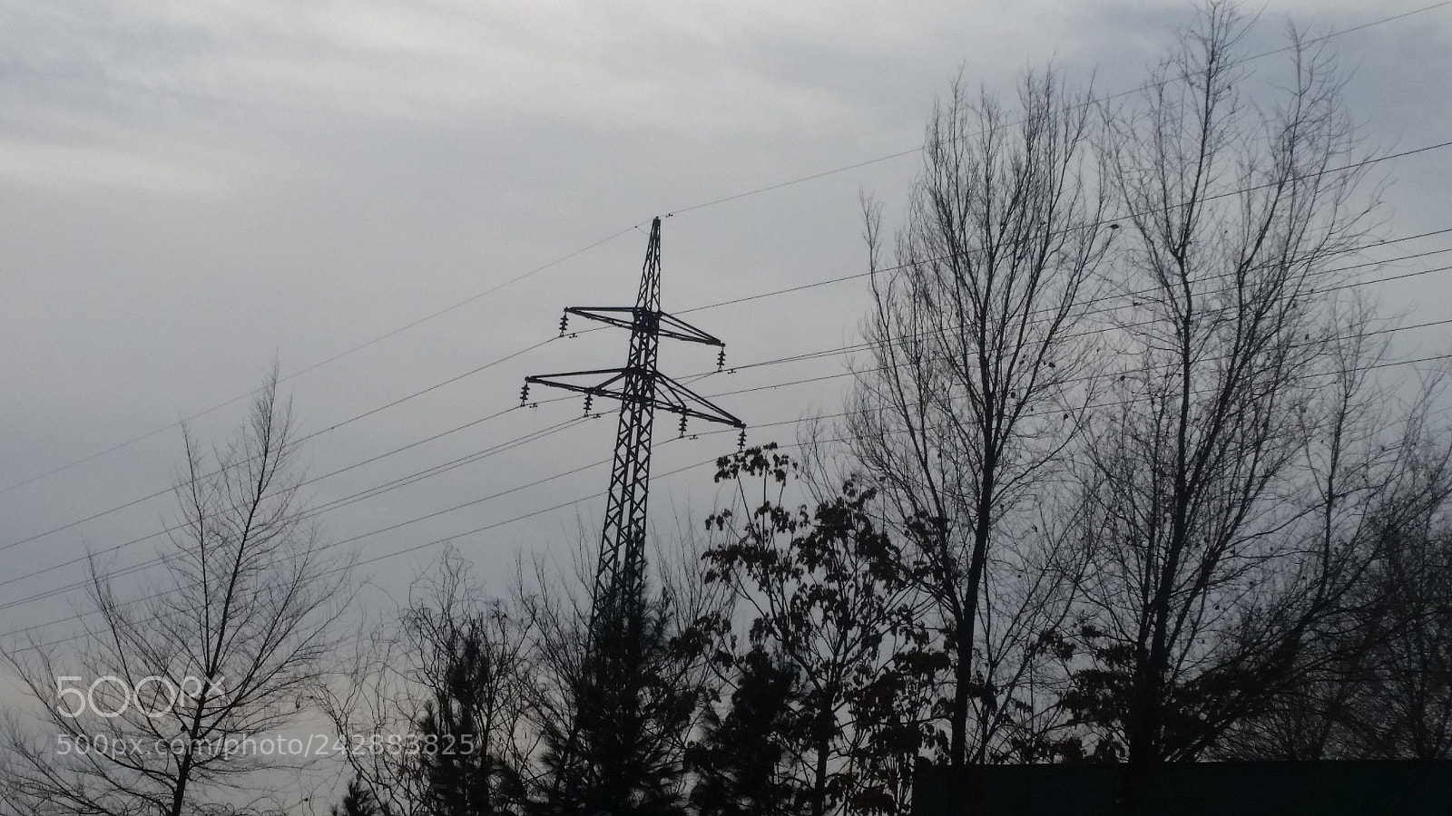 Samsung Galaxy S5 sample photo. ? photography