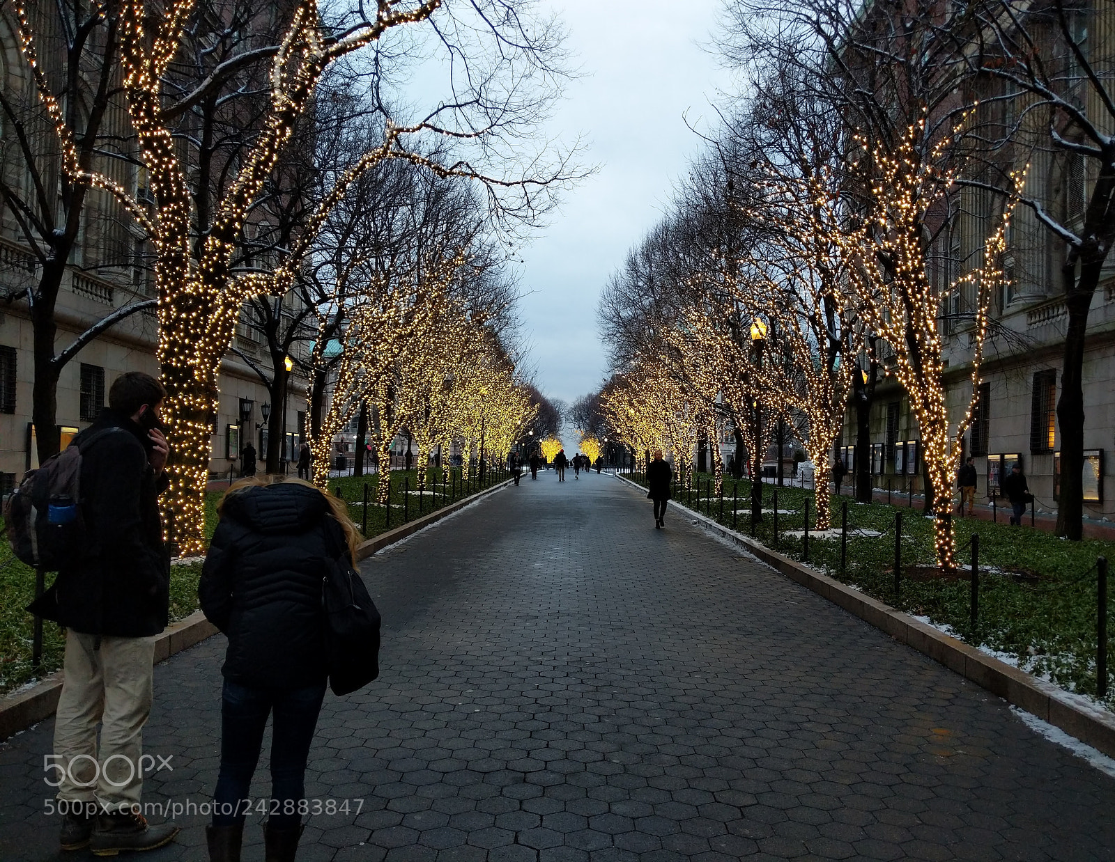 Google Pixel 2 XL sample photo. Columbia university photography