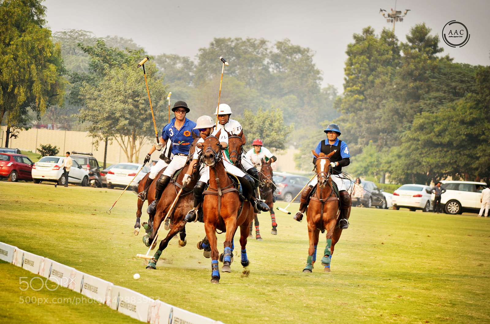 Nikon D5100 sample photo. Polo photography