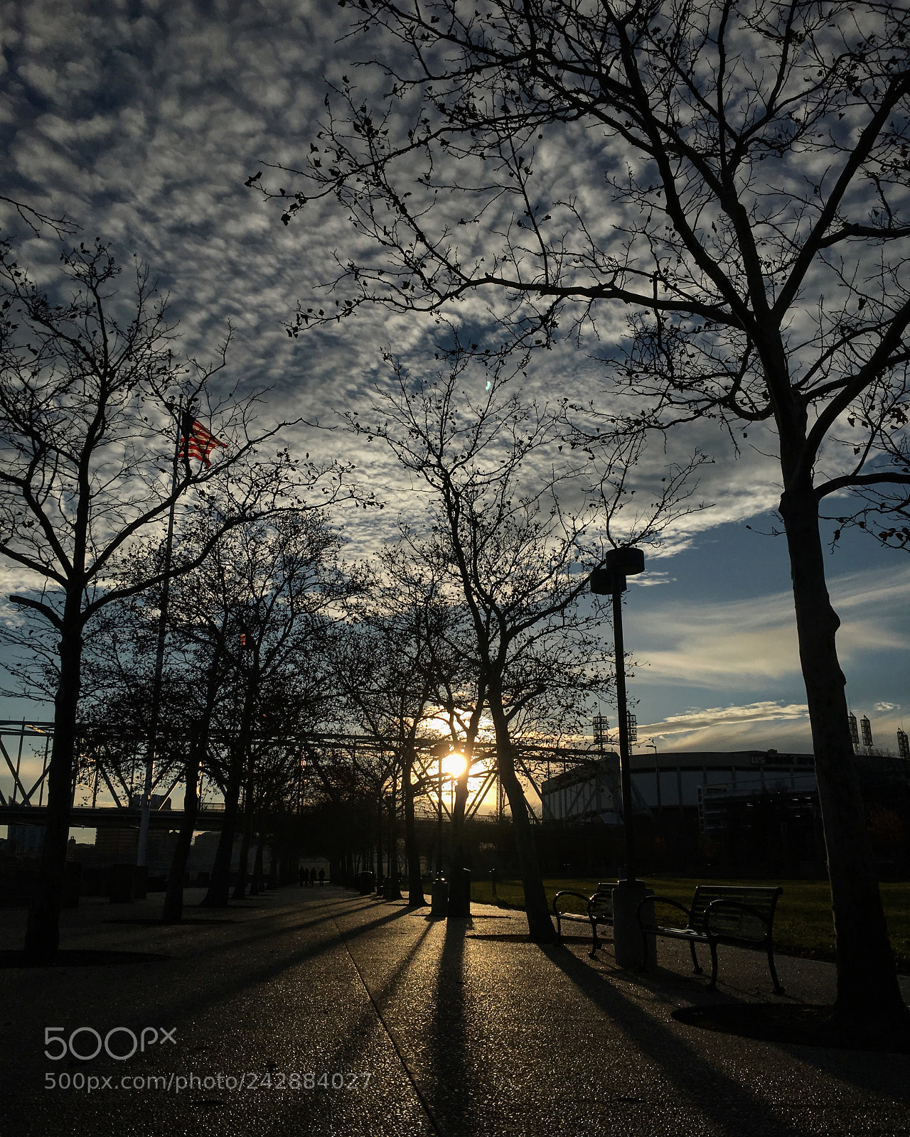 Apple iPhone 6s sample photo. Morning walk with murphy photography