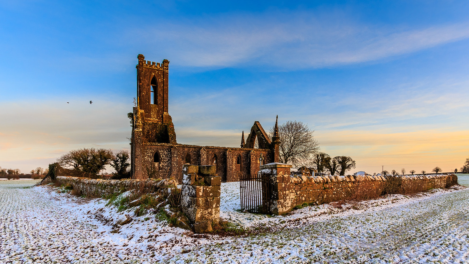 Canon EOS 6D sample photo. Ballinafagh photography