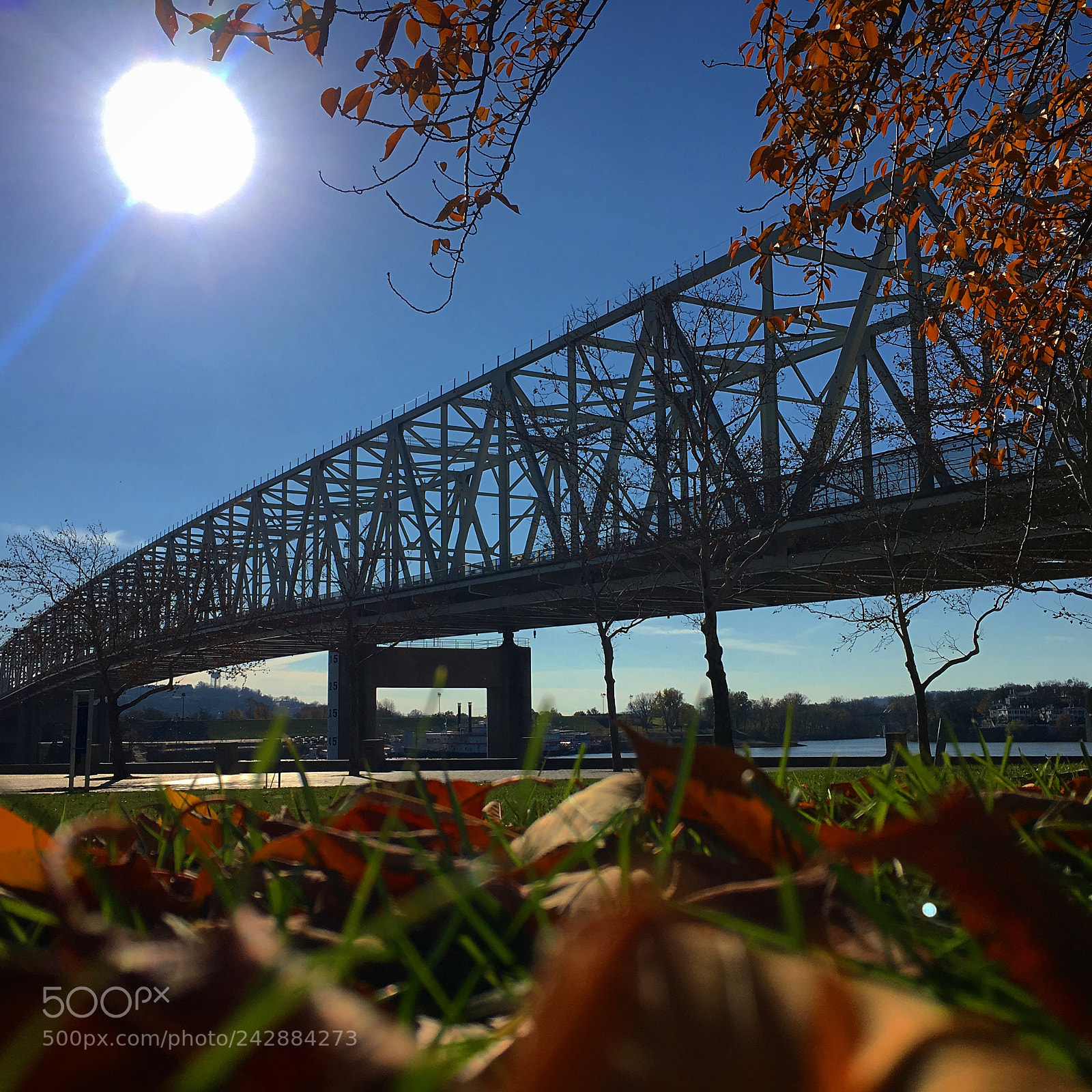 Apple iPhone 6s sample photo. Fall on the river photography