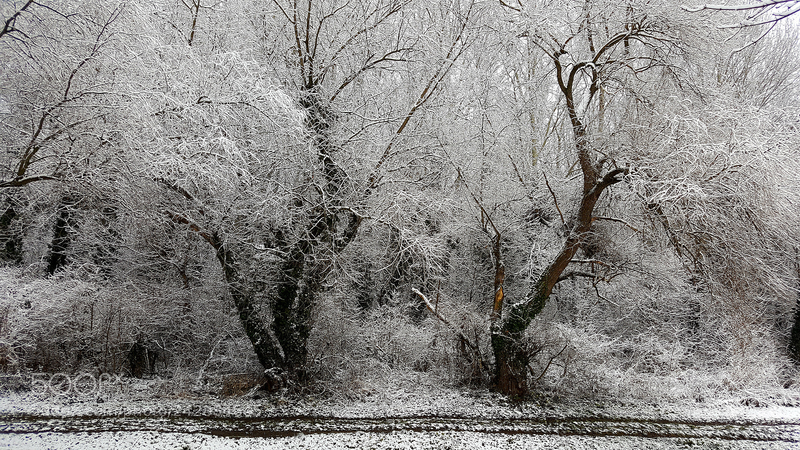 Samsung GALAXY S6 edge sample photo. Winter scene photography