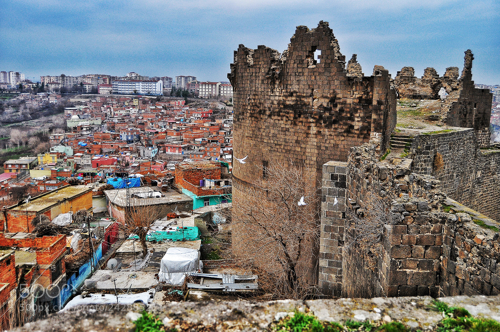 Nikon D5000 sample photo. Amed, sûr photography