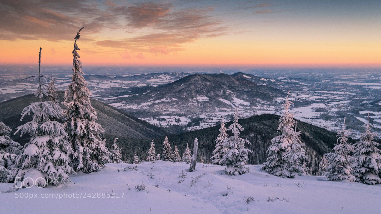 Nikon D5500 sample photo. Winter time photography