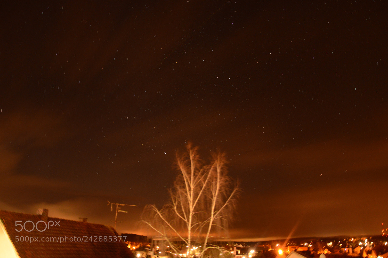 Nikon D3200 sample photo. Untitled photography