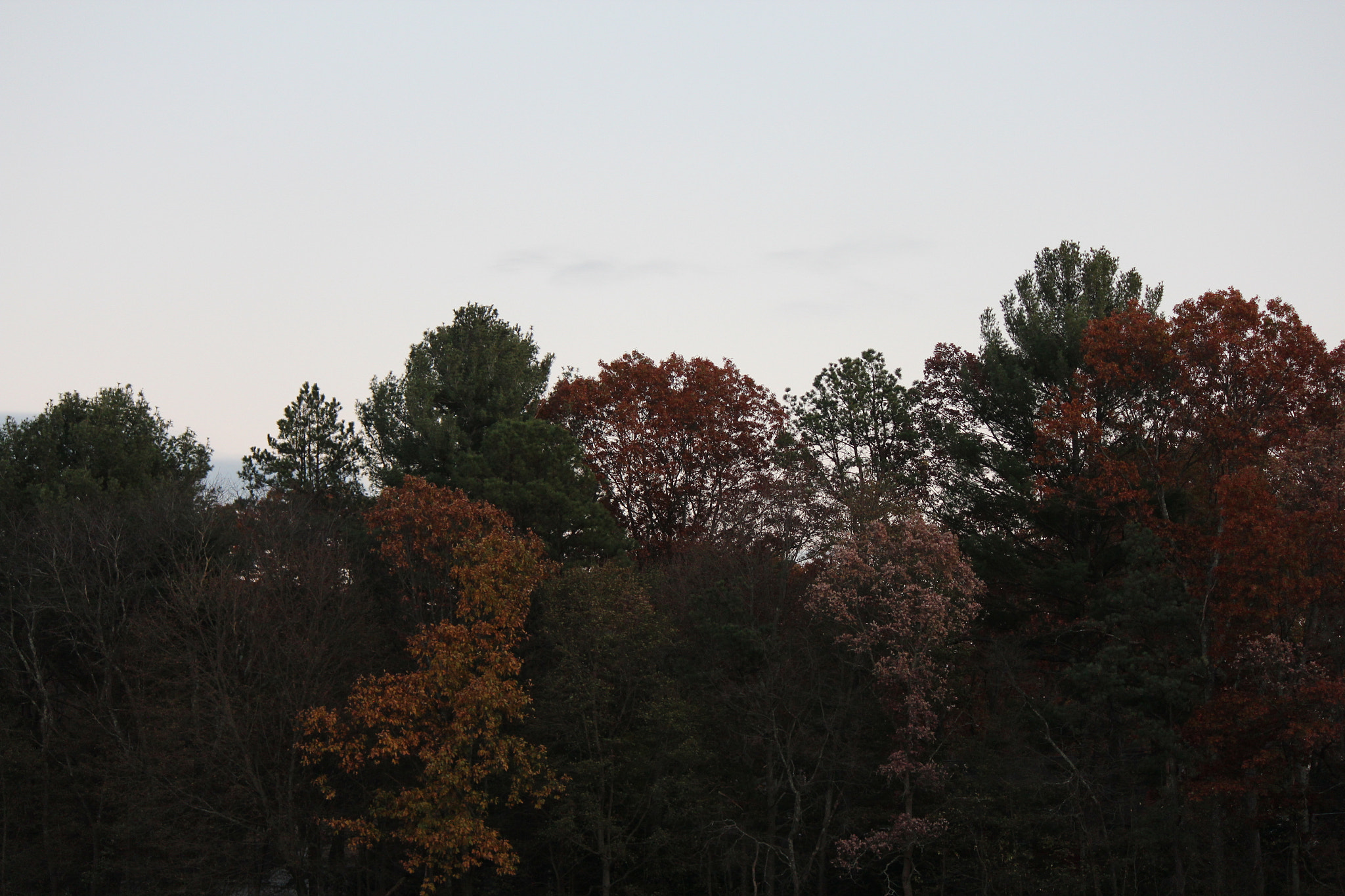 Canon EF-S 55-250mm F4-5.6 IS sample photo. Fall trees photography