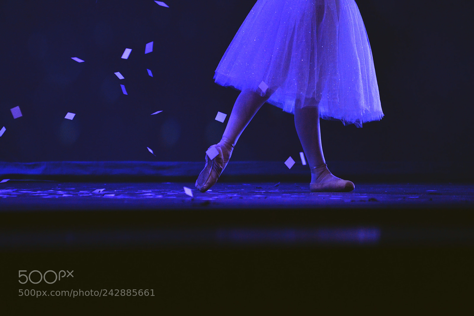 Nikon D3100 sample photo. Untitled photography