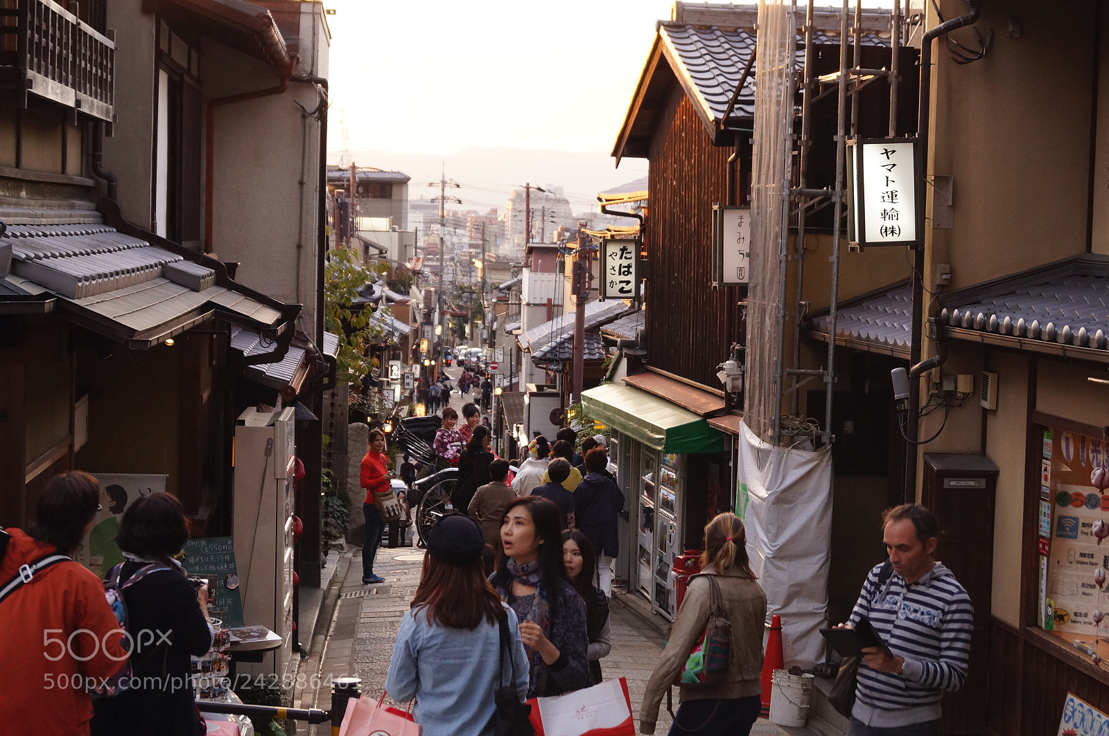 Sony SLT-A37 sample photo. An afternoon in kyoto photography