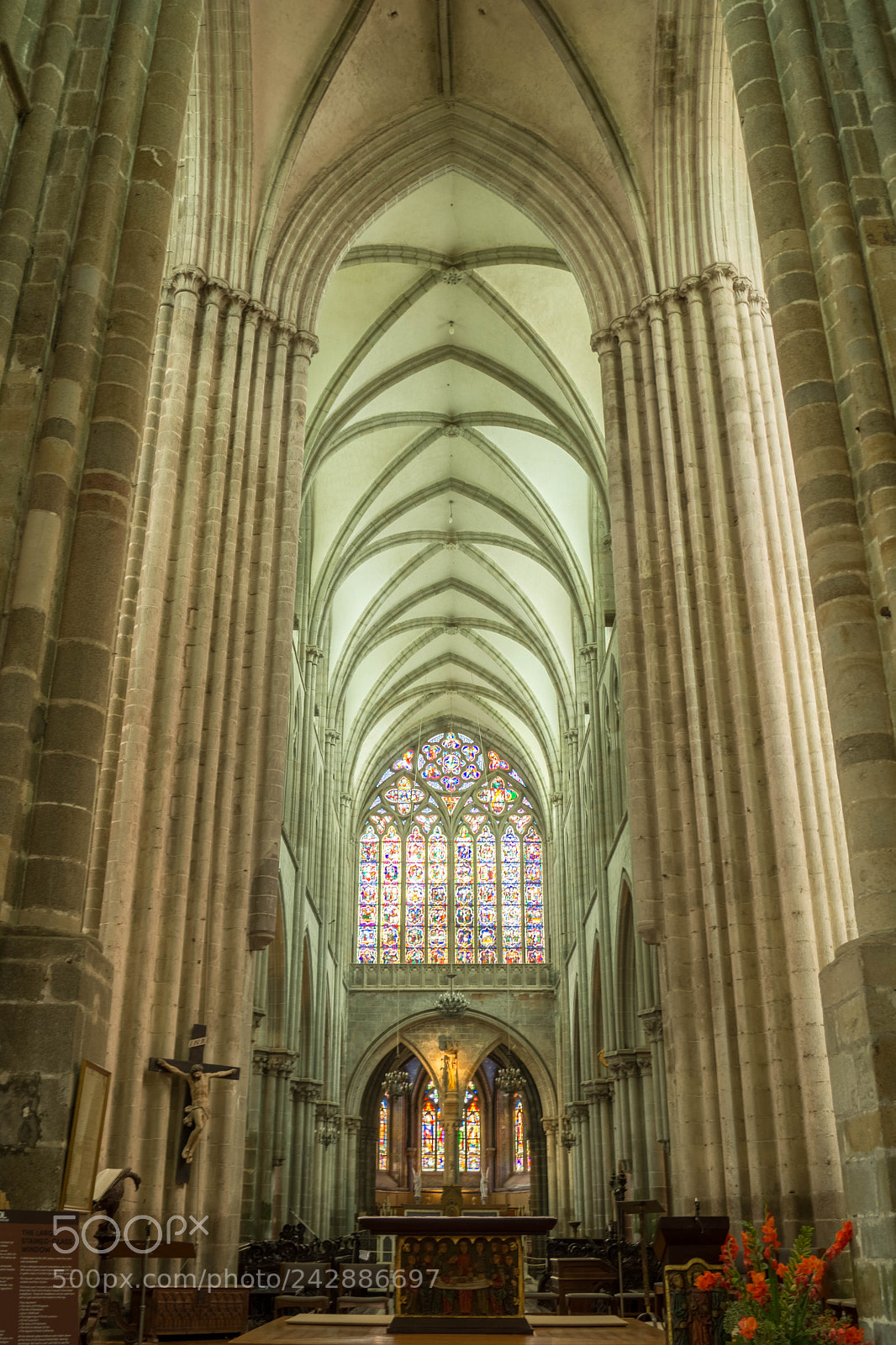 Sony SLT-A58 sample photo. A la recherche de photography