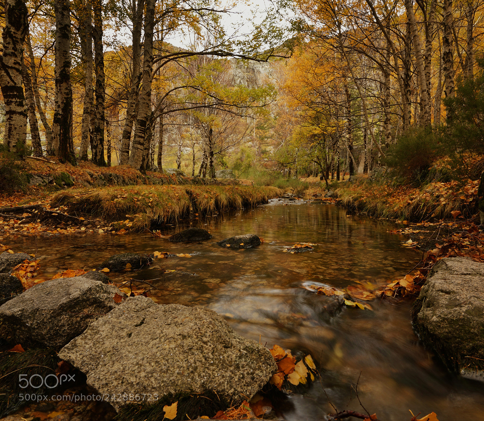 Sony a7 II sample photo. Silence photography