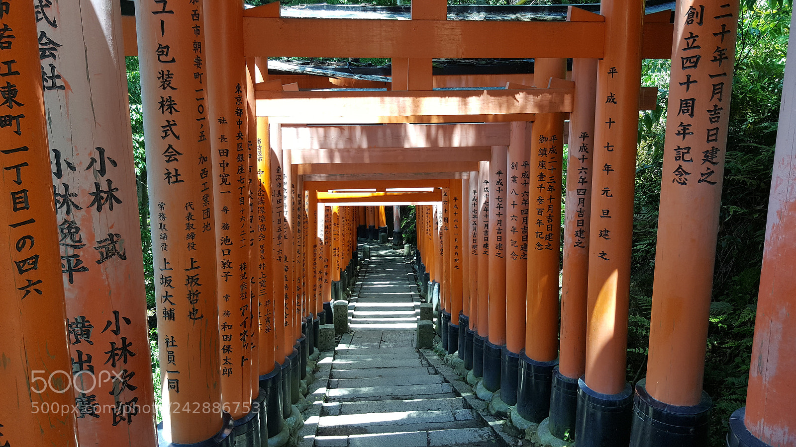 Samsung GALAXY S6 edge sample photo. Fushimi inari photography