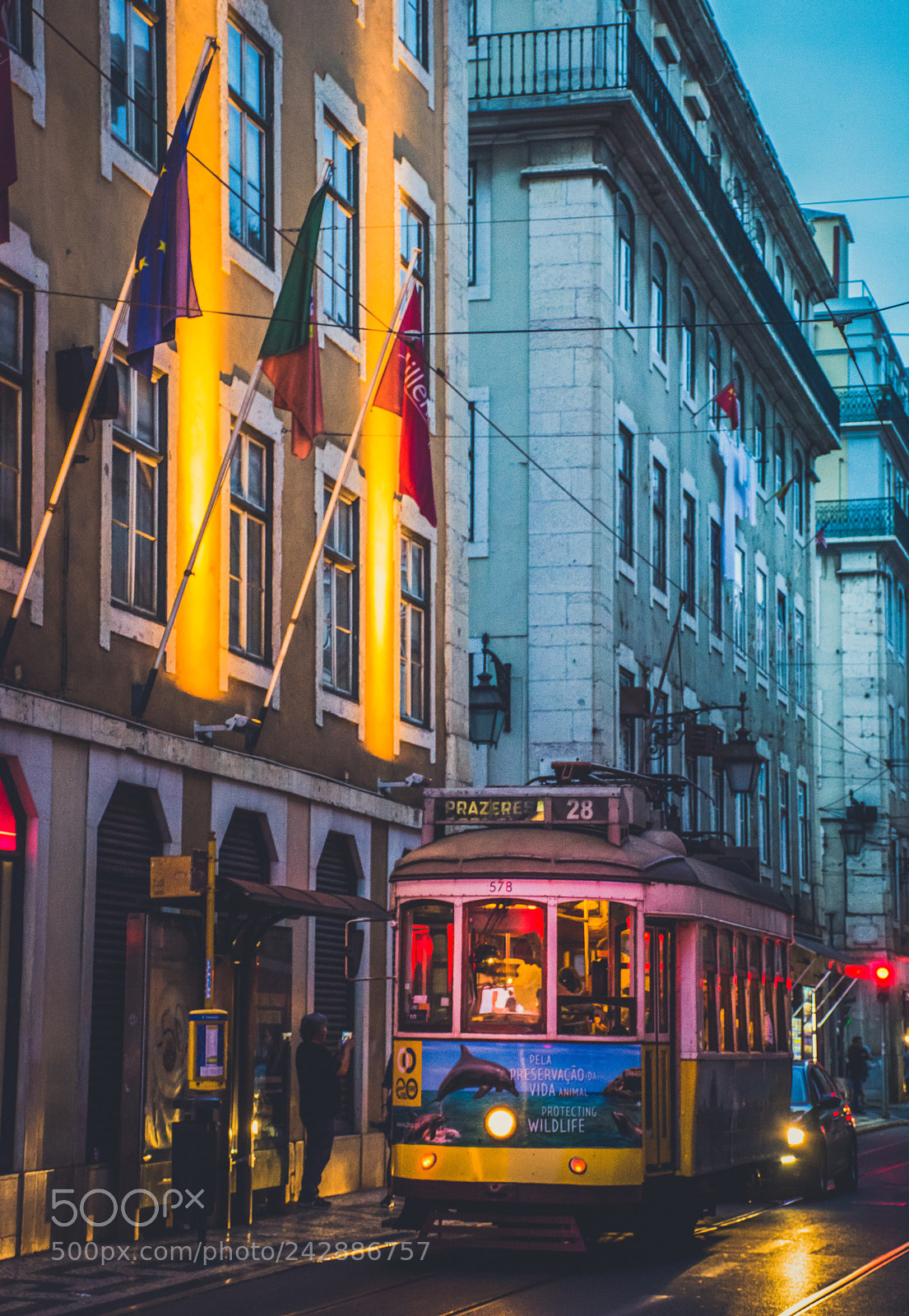 Nikon D7100 sample photo. The lisbon tram photography