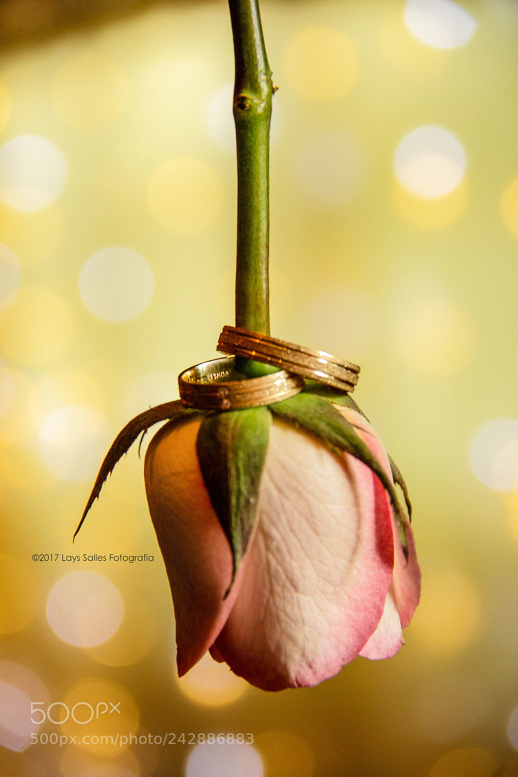 Canon EOS 60D sample photo. Wedding photography