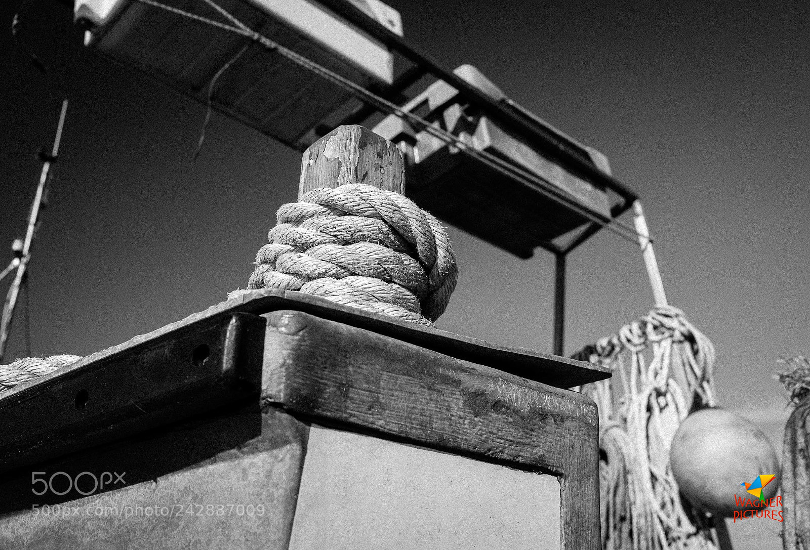 Leica Q (Typ 116) sample photo. Coiled photography