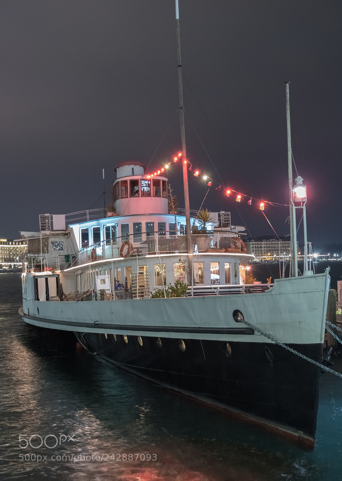 Nikon D5600 sample photo. Le bateau genève photography
