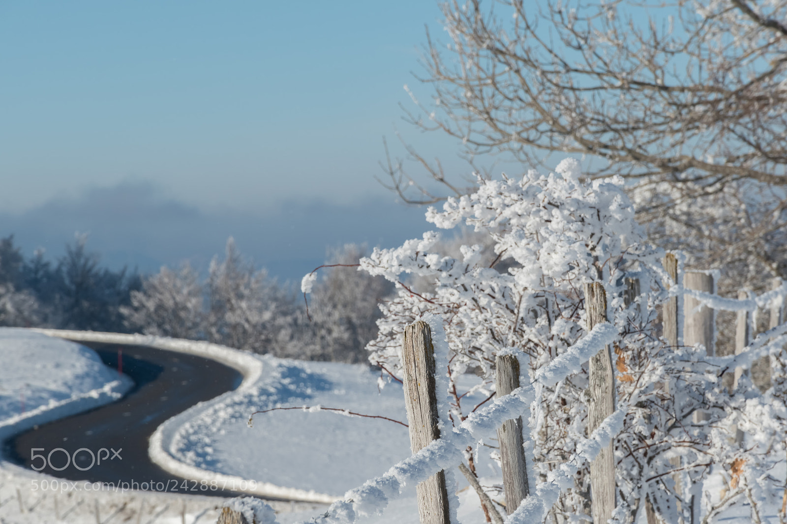 Nikon D5600 sample photo. Winter dans la yaute photography