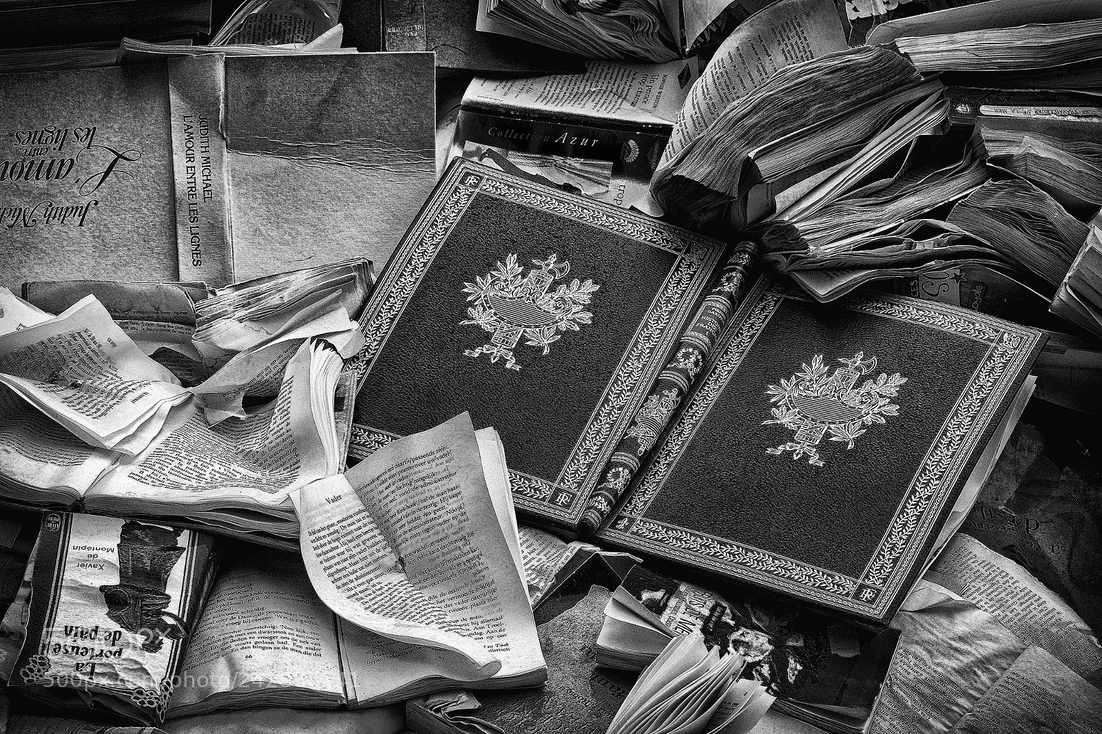 Fujifilm X-E1 sample photo. Pages and covers photography