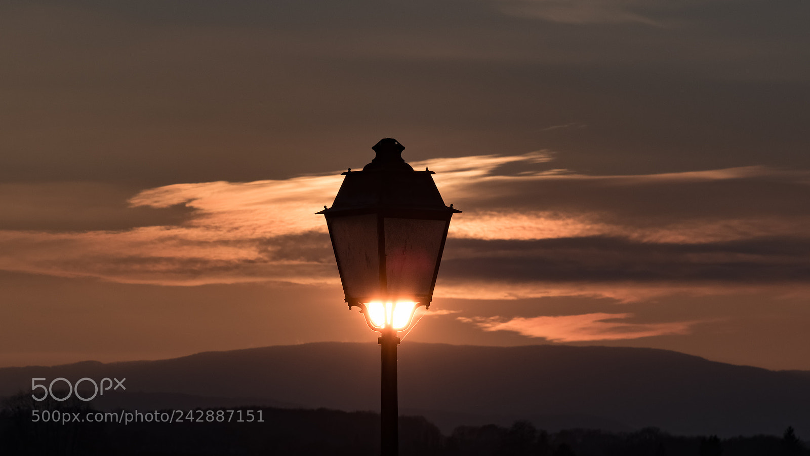 Nikon D5600 sample photo. Light is life photography