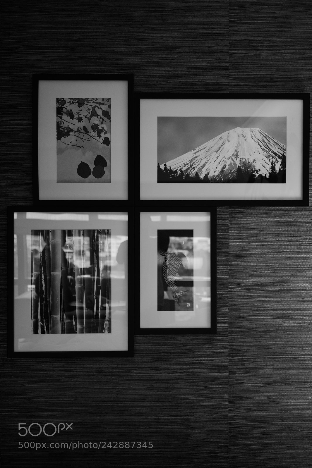 Sony a7 II sample photo. Nobu photography