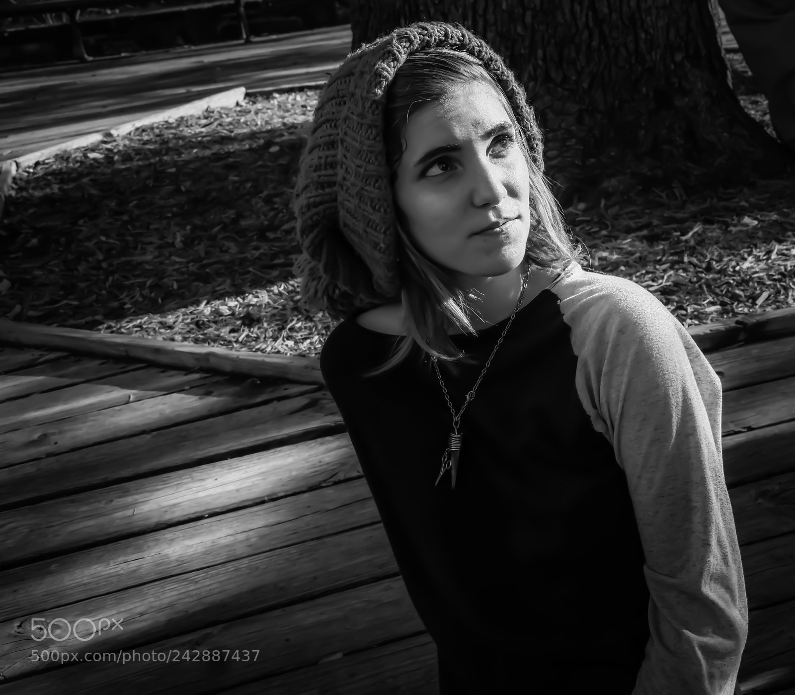 Fujifilm X-A3 sample photo. The lovely flow kitten photography