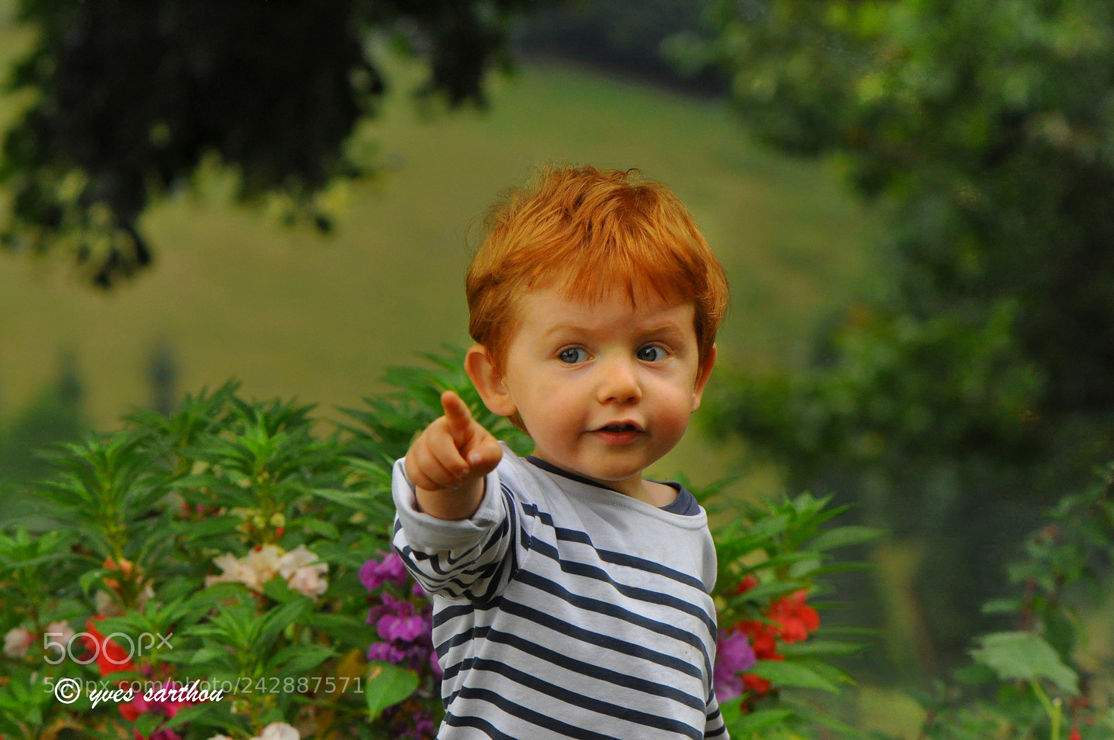 Nikon D90 sample photo. See what i mean! photography