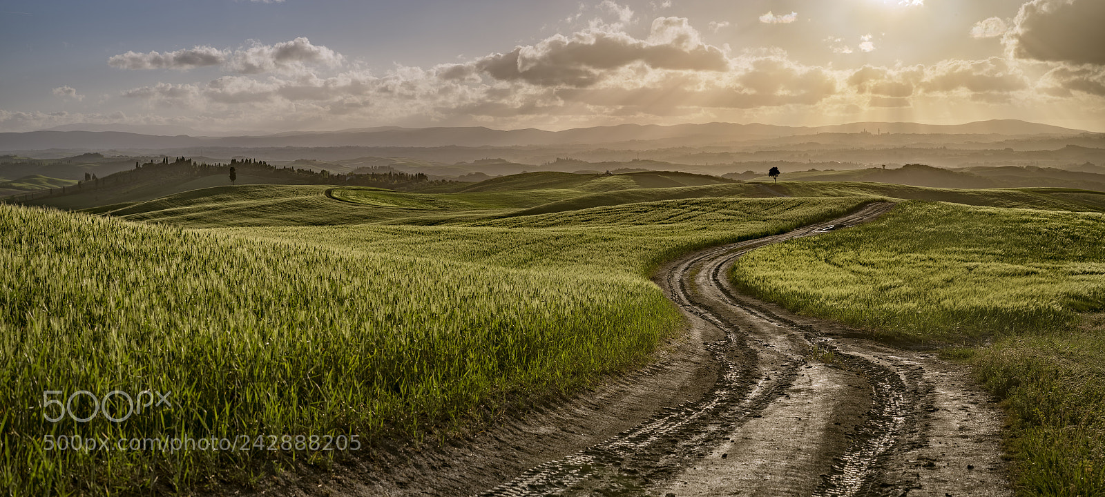 Pentax K-1 sample photo. Tuscan road 2 photography