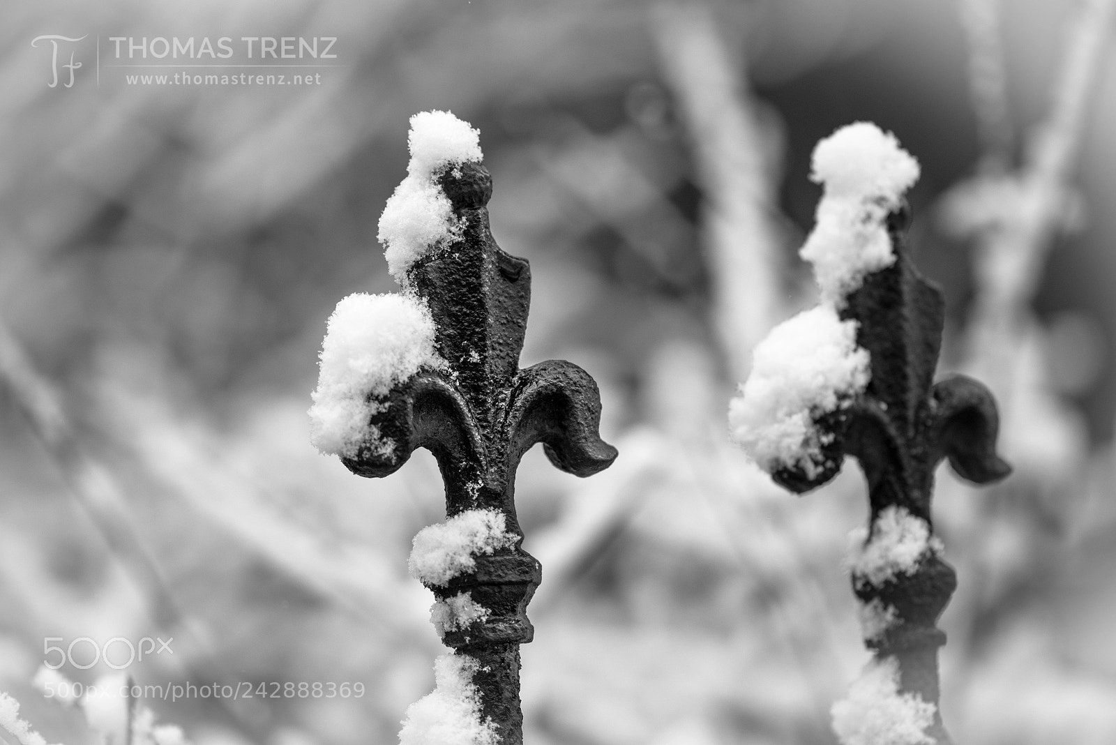 Nikon D600 sample photo. Bw winter steel photography