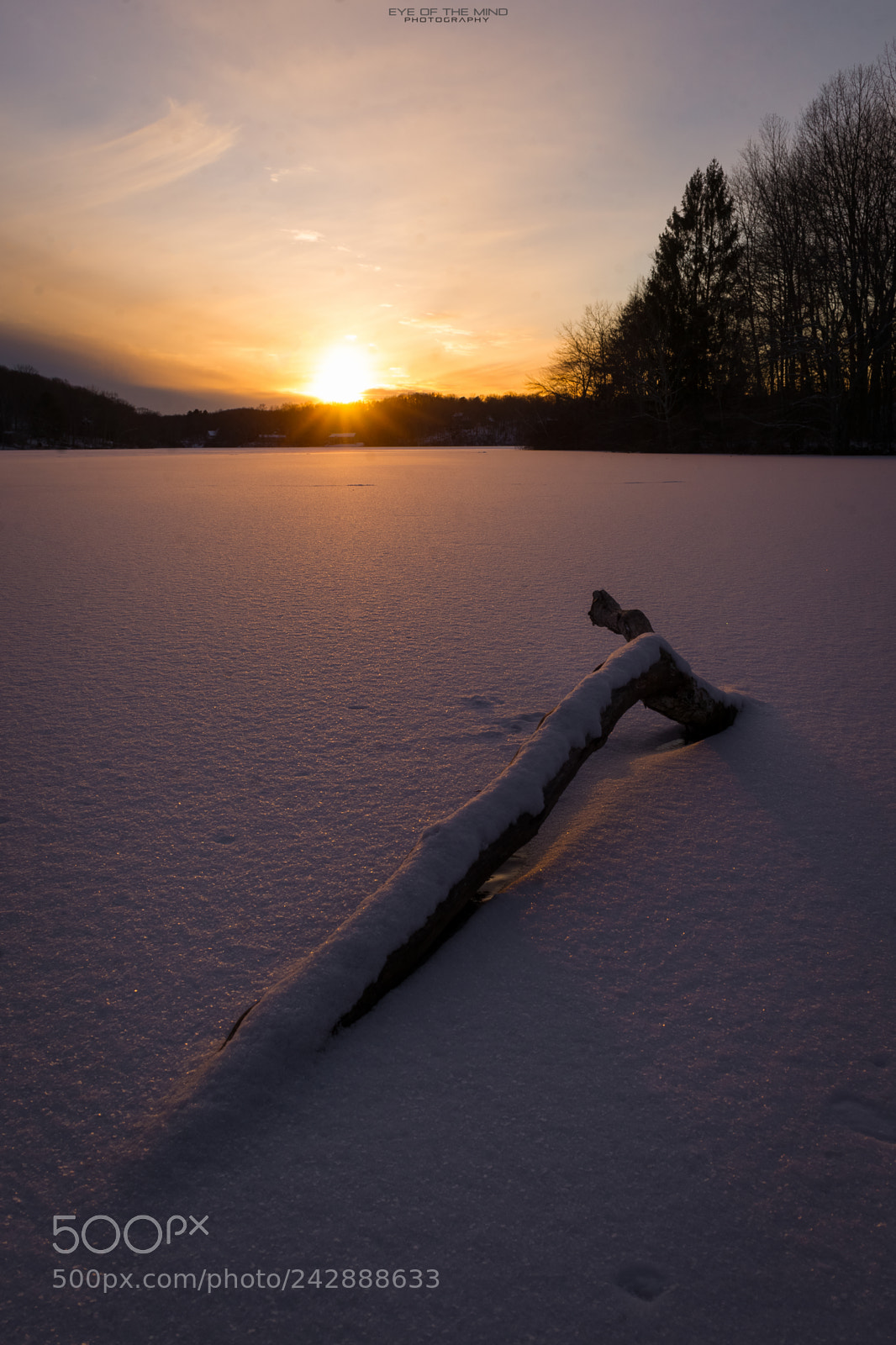 Sony Alpha DSLR-A850 sample photo. Momentos of winter photography