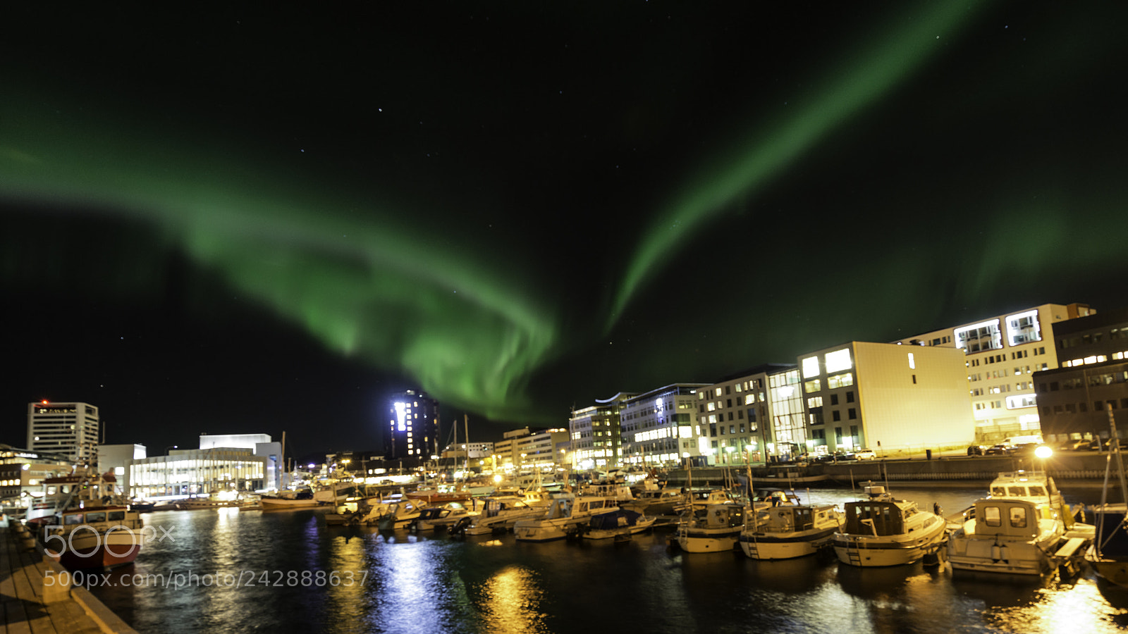 Nikon D800 sample photo. Aurora i bodøbyen photography