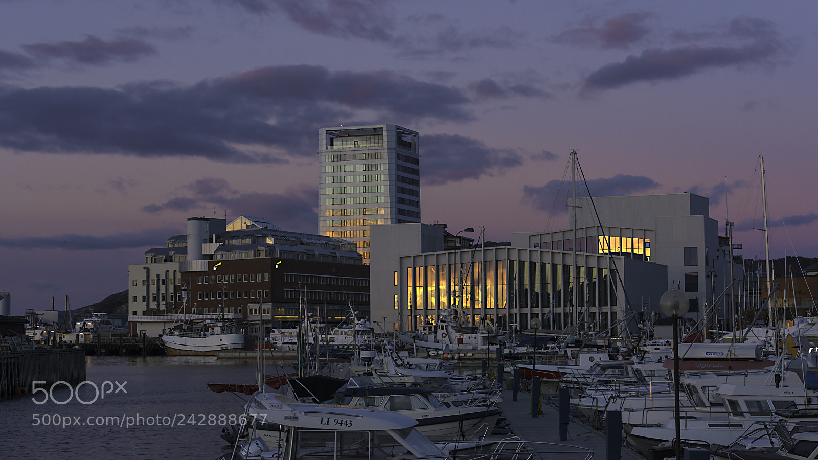 Nikon D800 sample photo. Havna i vinterlys med photography