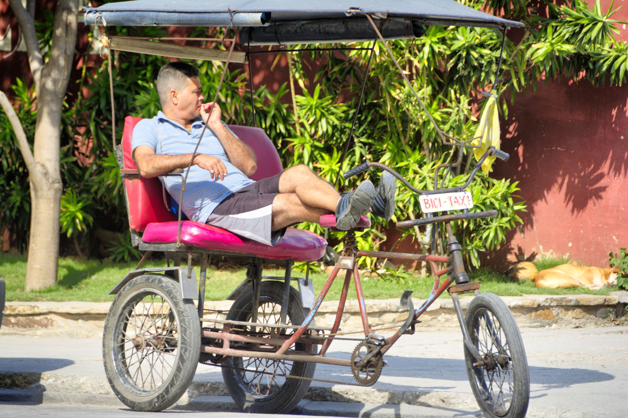 Nikon D7100 sample photo. Bicitaxi photography
