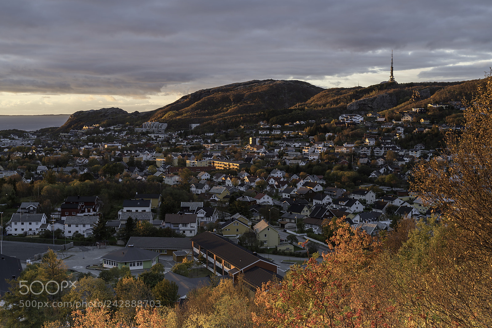 Nikon D850 sample photo. Bodø mot linken photography