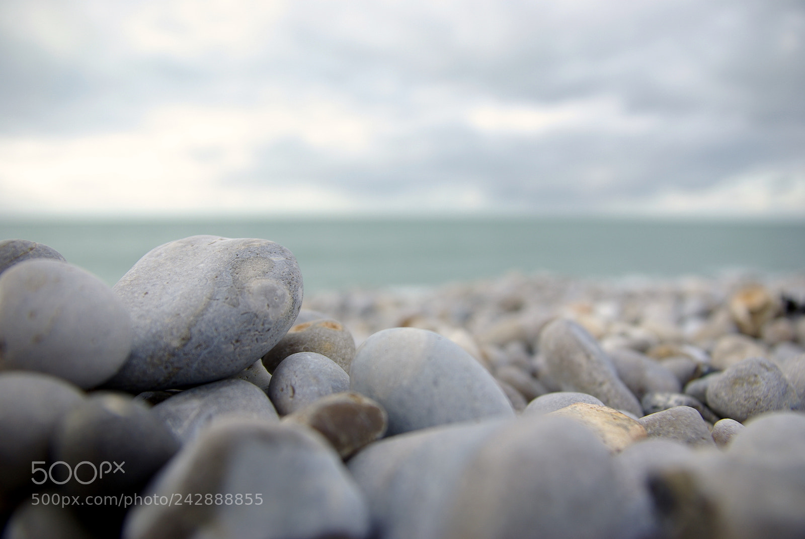 Pentax K10D sample photo. A gudiol muns diverses photography