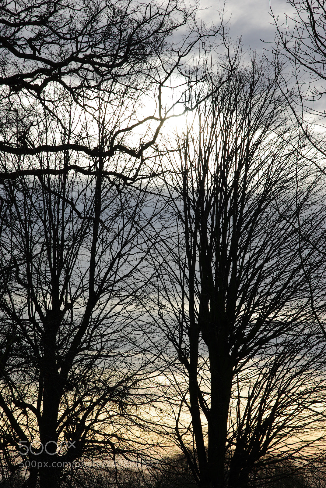 Pentax K10D sample photo. A gudiol muns diverses photography