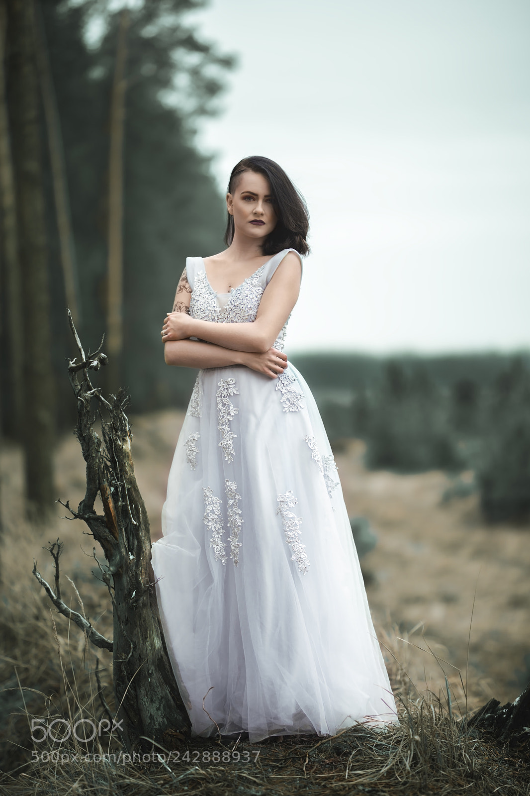 Sony a7 II sample photo. Sanda photography