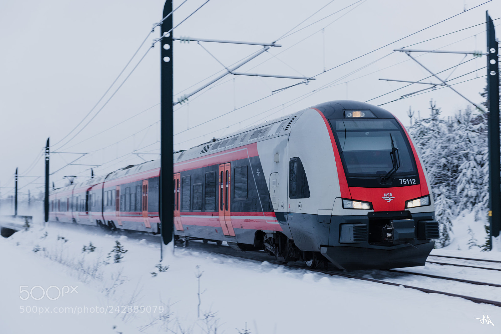 Nikon D810 sample photo. Winter train photography
