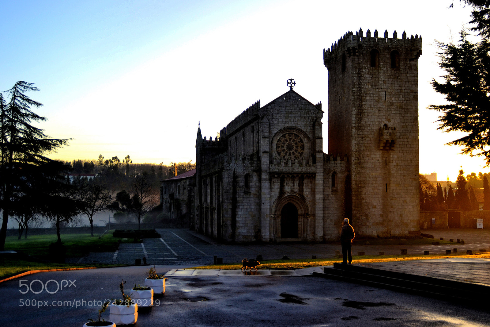 Nikon D3100 sample photo. Untitled photography