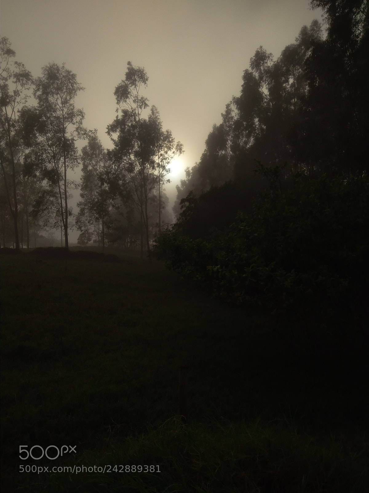 Xiaomi Redmi 4A sample photo. Untitled photography