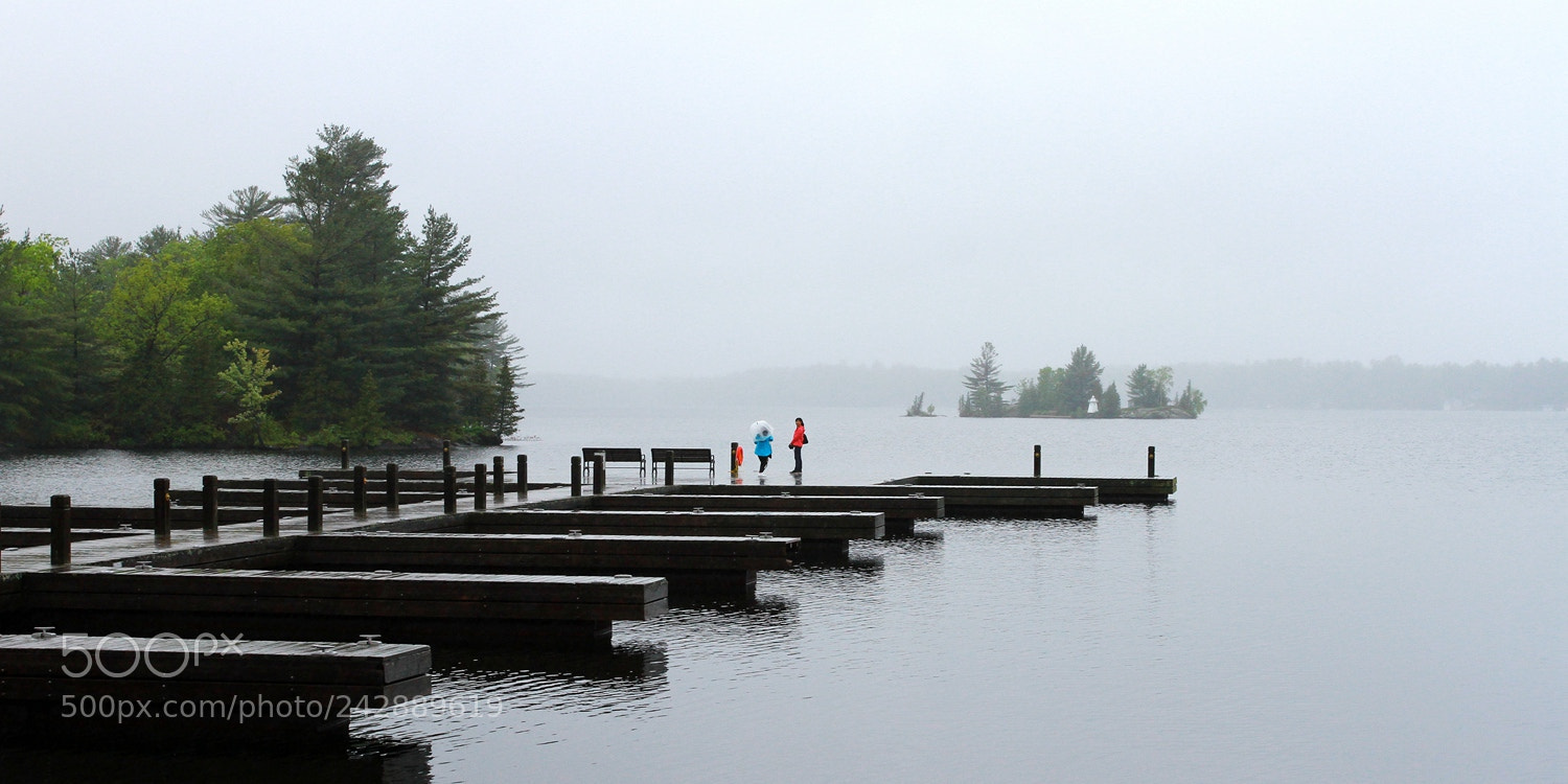 Canon EOS 7D sample photo. In the spring rain photography