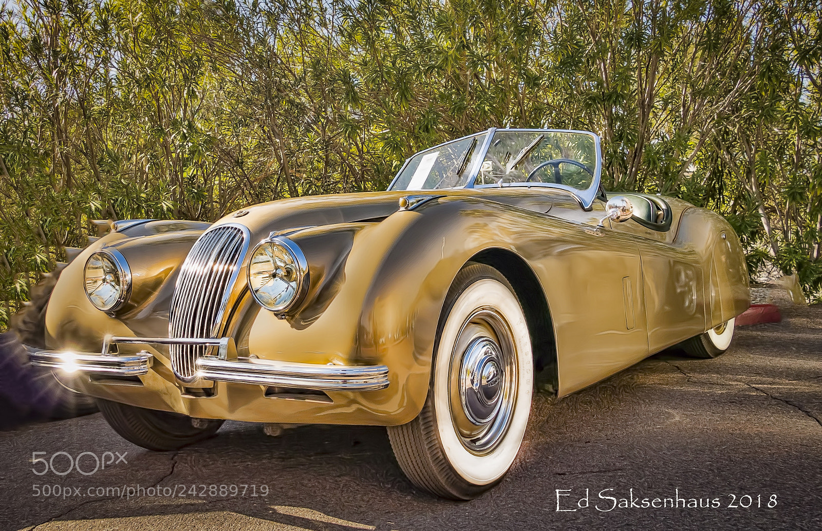 Panasonic Lumix DMC-FZ1000 sample photo. Vintage jaguar photography