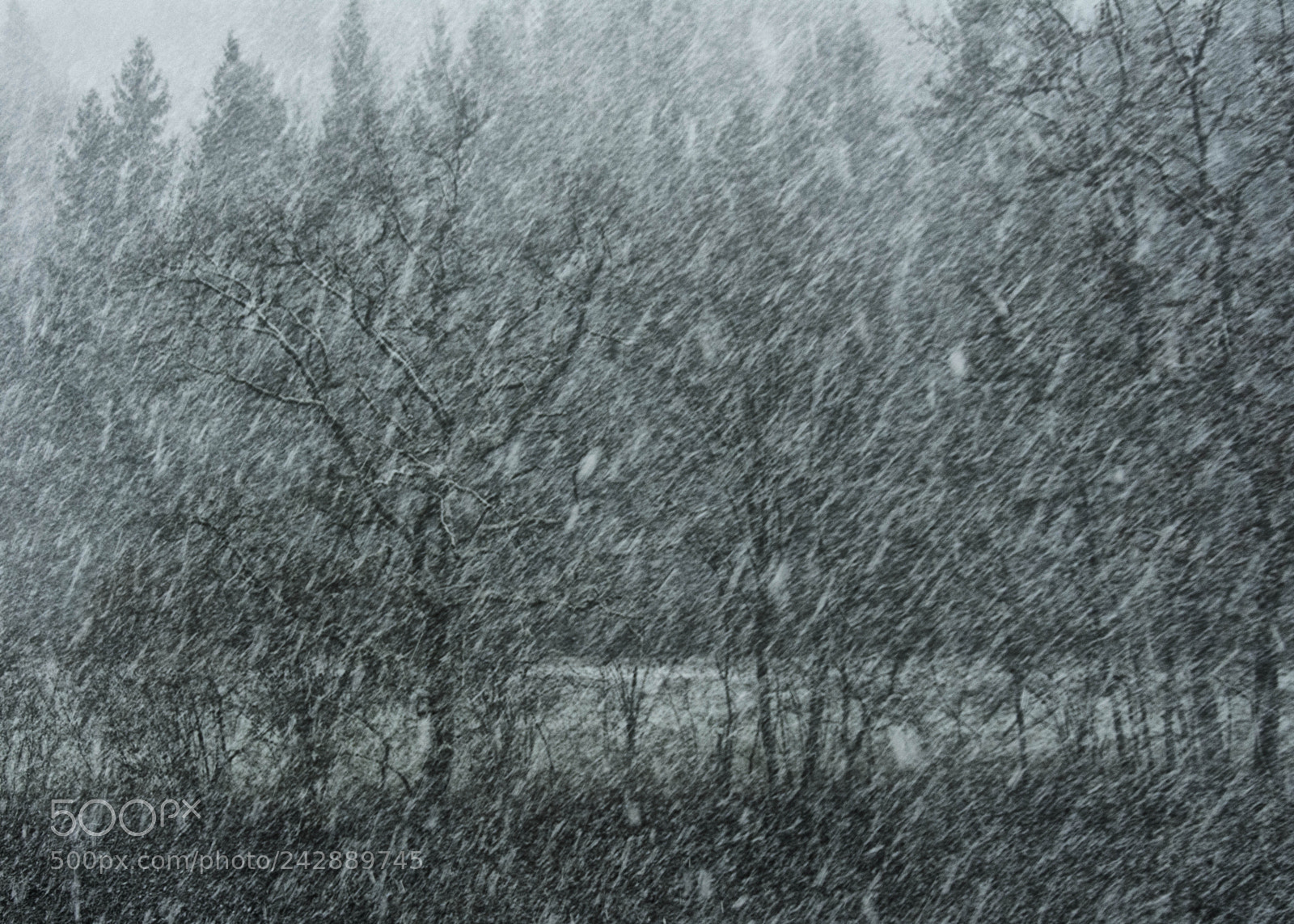 Nikon D7100 sample photo. Schneesturm photography