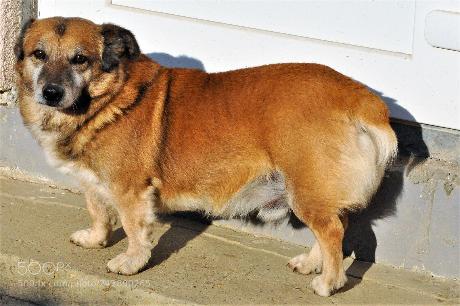 Nikon D90 sample photo. Missing photography