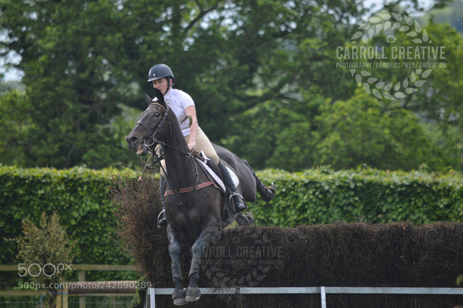 Nikon D3200 sample photo. Hunt chase photography