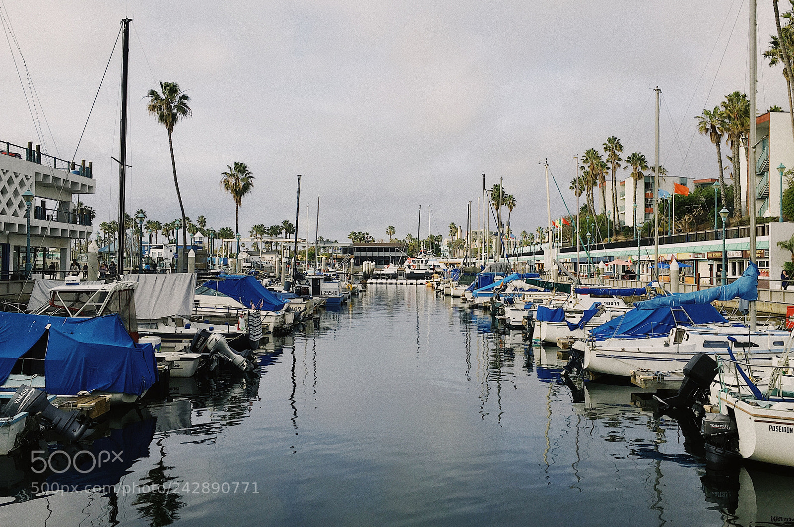 Apple iPhone 6s sample photo. Harbor in southern california photography