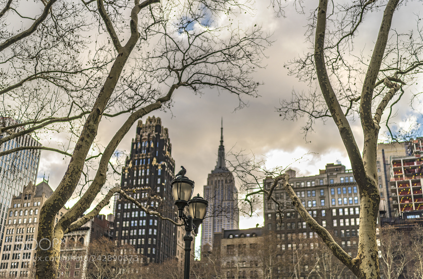 Sony a7R III sample photo. In the park photography
